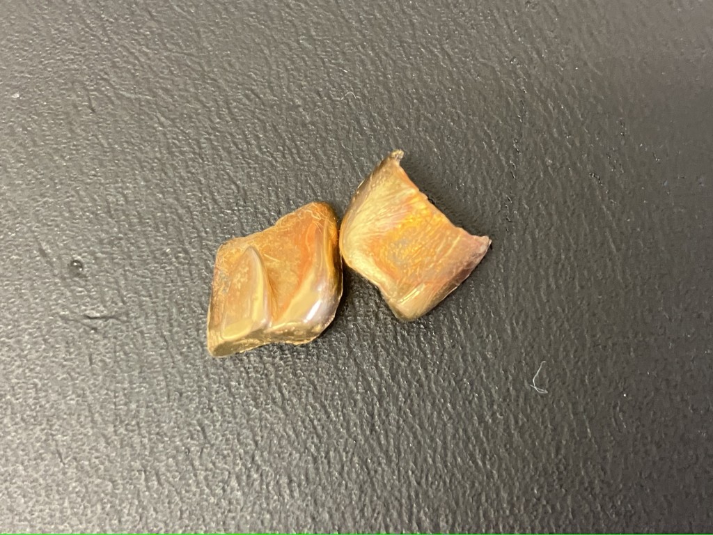 金買取/おたからや箕面店/金歯買取/プラチナ買取/ダイヤ買取/遺品整理/箕面市/池田市のお客様